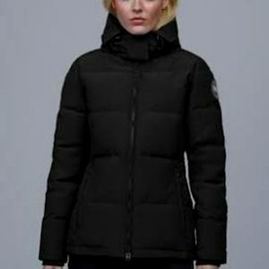 Canada goose